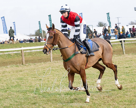 Race 4 - Ladies Open  (37 of 155)