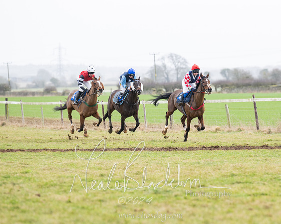 Race 4 - Ladies Open  (87 of 155)