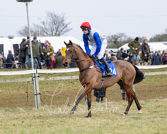 Race 6 - 4-5-6 Yr olds Maiden  (4 of 152)