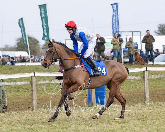Race 6 - 4-5-6 Yr olds Maiden  (6 of 152)