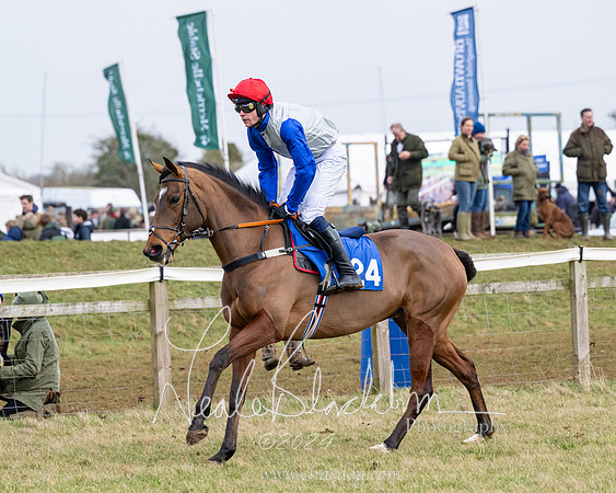 Race 6 - 4-5-6 Yr olds Maiden  (7 of 152)