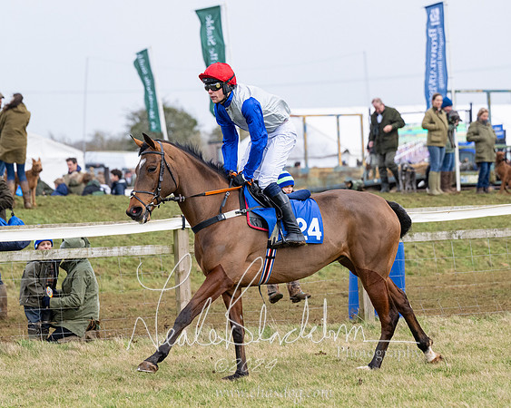 Race 6 - 4-5-6 Yr olds Maiden  (8 of 152)