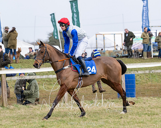 Race 6 - 4-5-6 Yr olds Maiden  (9 of 152)