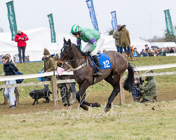 Race 6 - 4-5-6 Yr olds Maiden  (10 of 152)