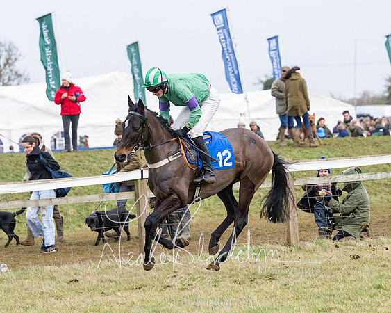Race 6 - 4-5-6 Yr olds Maiden  (11 of 152)