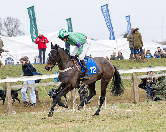 Race 6 - 4-5-6 Yr olds Maiden  (12 of 152)
