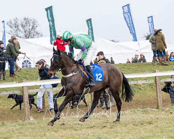 Race 6 - 4-5-6 Yr olds Maiden  (13 of 152)