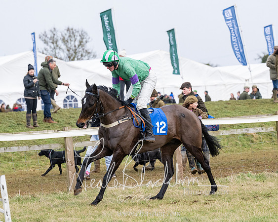 Race 6 - 4-5-6 Yr olds Maiden  (14 of 152)
