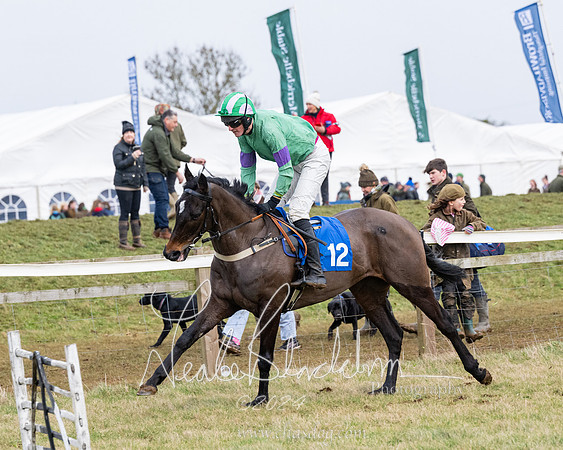 Race 6 - 4-5-6 Yr olds Maiden  (15 of 152)
