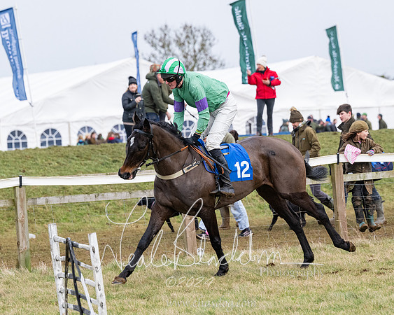 Race 6 - 4-5-6 Yr olds Maiden  (16 of 152)