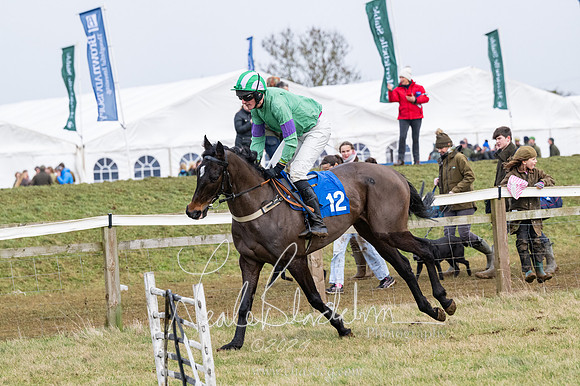 Race 6 - 4-5-6 Yr olds Maiden  (17 of 152)
