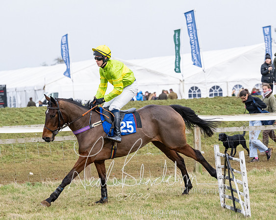 Race 6 - 4-5-6 Yr olds Maiden  (18 of 152)