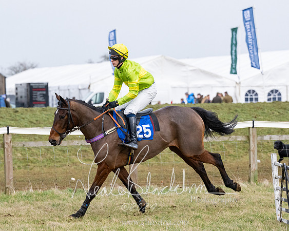 Race 6 - 4-5-6 Yr olds Maiden  (19 of 152)