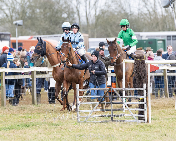 Race 6 - 4-5-6 Yr olds Maiden  (21 of 152)