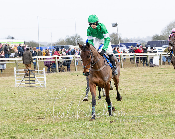 Race 6 - 4-5-6 Yr olds Maiden  (31 of 152)