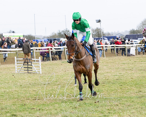 Race 6 - 4-5-6 Yr olds Maiden  (32 of 152)
