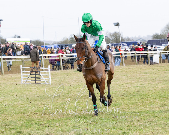 Race 6 - 4-5-6 Yr olds Maiden  (33 of 152)