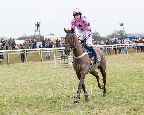 Race 6 - 4-5-6 Yr olds Maiden  (37 of 152)