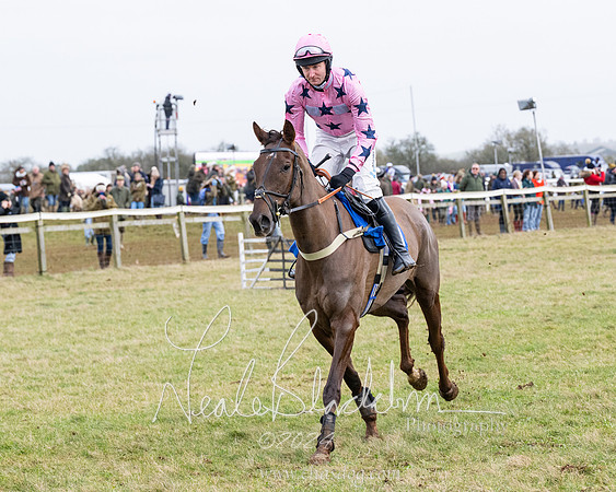 Race 6 - 4-5-6 Yr olds Maiden  (38 of 152)