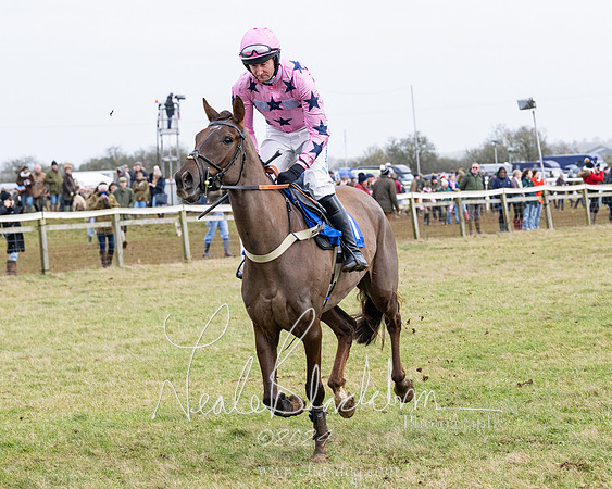 Race 6 - 4-5-6 Yr olds Maiden  (39 of 152)