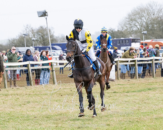 Race 6 - 4-5-6 Yr olds Maiden  (41 of 152)