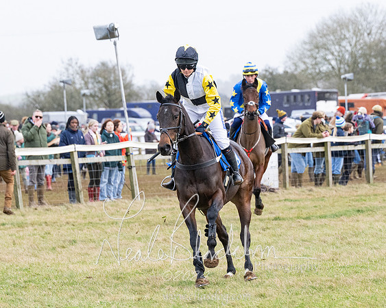 Race 6 - 4-5-6 Yr olds Maiden  (42 of 152)