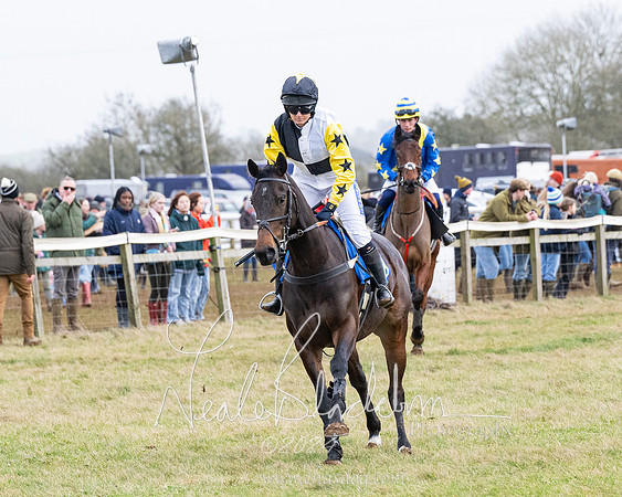 Race 6 - 4-5-6 Yr olds Maiden  (43 of 152)