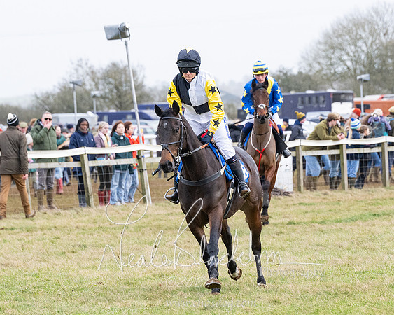 Race 6 - 4-5-6 Yr olds Maiden  (44 of 152)