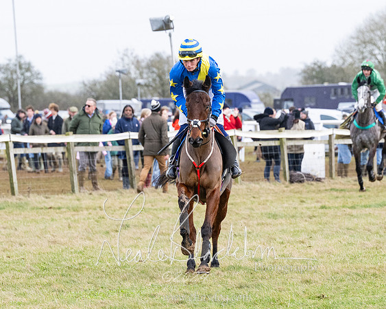 Race 6 - 4-5-6 Yr olds Maiden  (46 of 152)