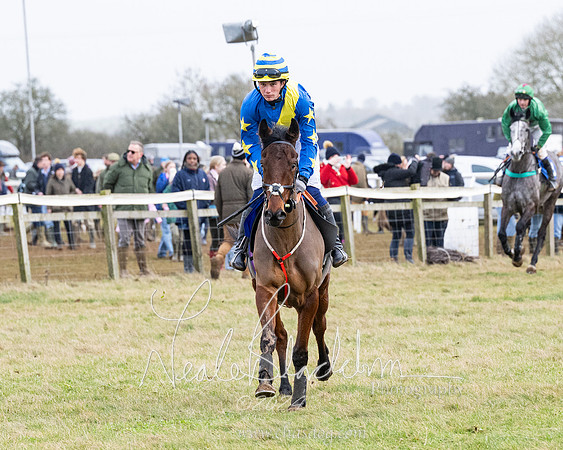 Race 6 - 4-5-6 Yr olds Maiden  (48 of 152)