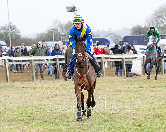 Race 6 - 4-5-6 Yr olds Maiden  (49 of 152)