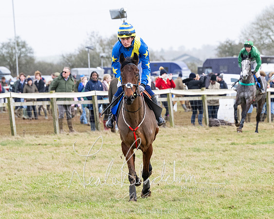 Race 6 - 4-5-6 Yr olds Maiden  (50 of 152)