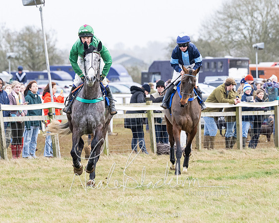 Race 6 - 4-5-6 Yr olds Maiden  (51 of 152)