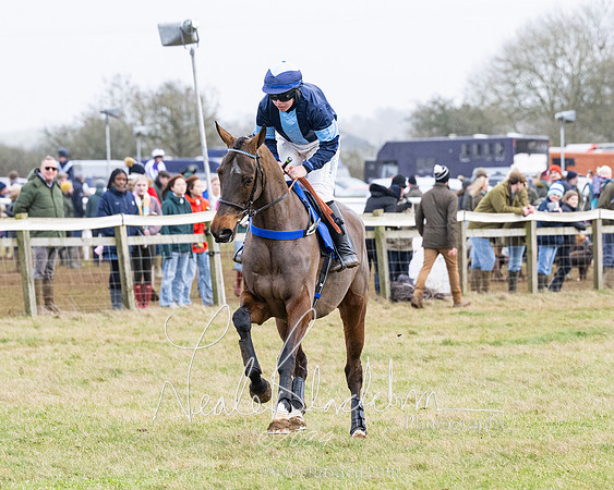 Race 6 - 4-5-6 Yr olds Maiden  (59 of 152)