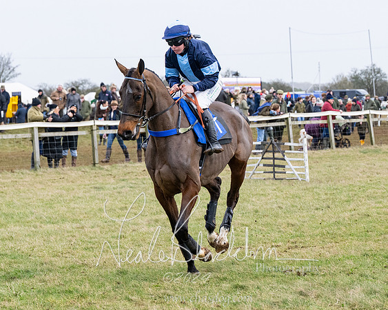Race 6 - 4-5-6 Yr olds Maiden  (61 of 152)