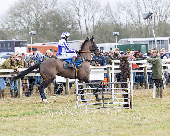 Race 6 - 4-5-6 Yr olds Maiden  (63 of 152)