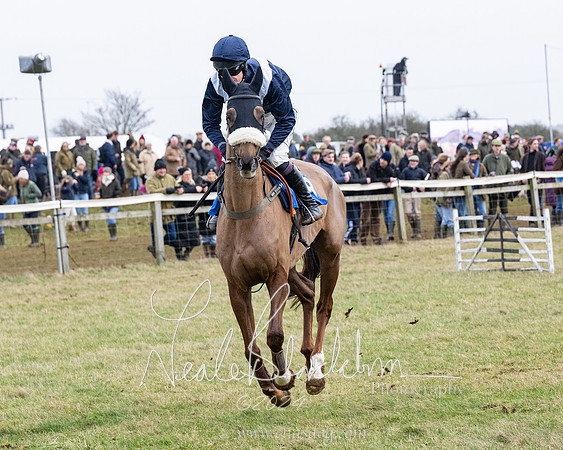 Race 6 - 4-5-6 Yr olds Maiden  (73 of 152)