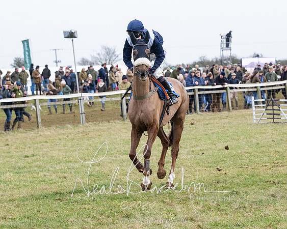Race 6 - 4-5-6 Yr olds Maiden  (74 of 152)