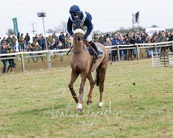Race 6 - 4-5-6 Yr olds Maiden  (75 of 152)