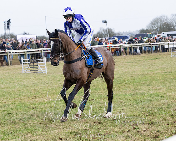 Race 6 - 4-5-6 Yr olds Maiden  (76 of 152)