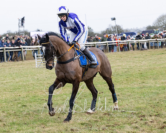 Race 6 - 4-5-6 Yr olds Maiden  (78 of 152)