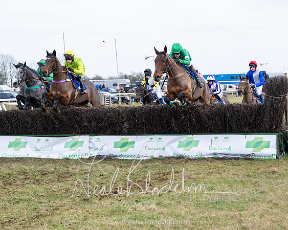 Race 6 - 4-5-6 Yr olds Maiden  (82 of 152)