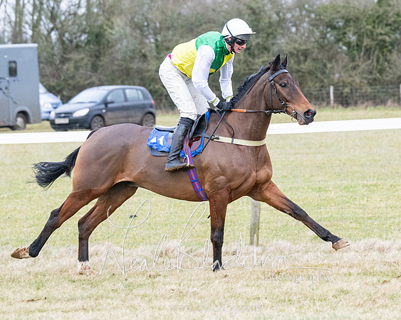 Race 7 - 7 and over Maiden (2 of 205)