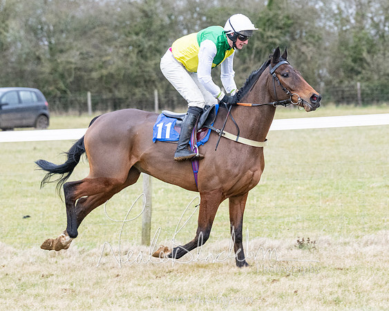 Race 7 - 7 and over Maiden (3 of 205)