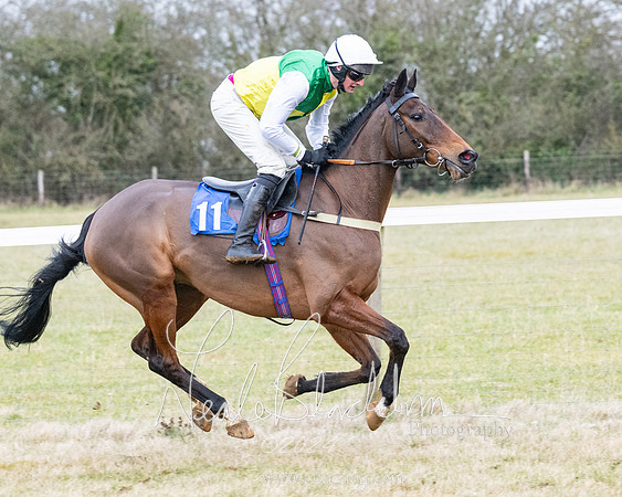 Race 7 - 7 and over Maiden (4 of 205)