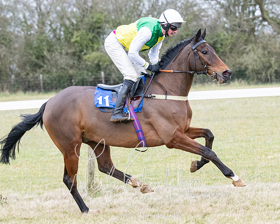 Race 7 - 7 and over Maiden (5 of 205)