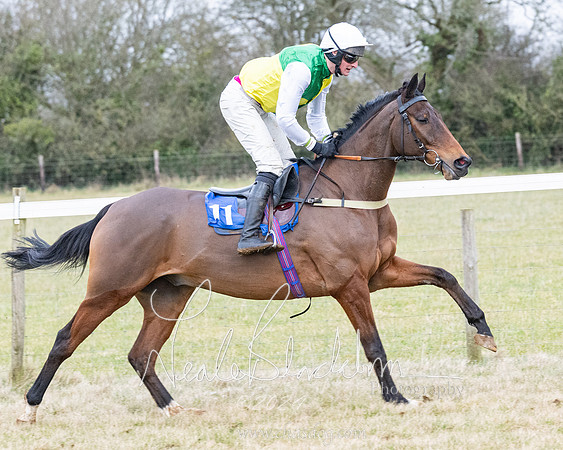 Race 7 - 7 and over Maiden (6 of 205)