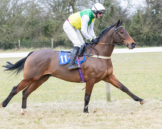Race 7 - 7 and over Maiden (7 of 205)