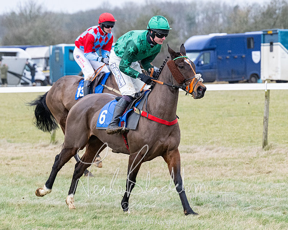 Race 7 - 7 and over Maiden (12 of 205)