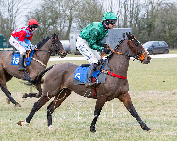 Race 7 - 7 and over Maiden (14 of 205)